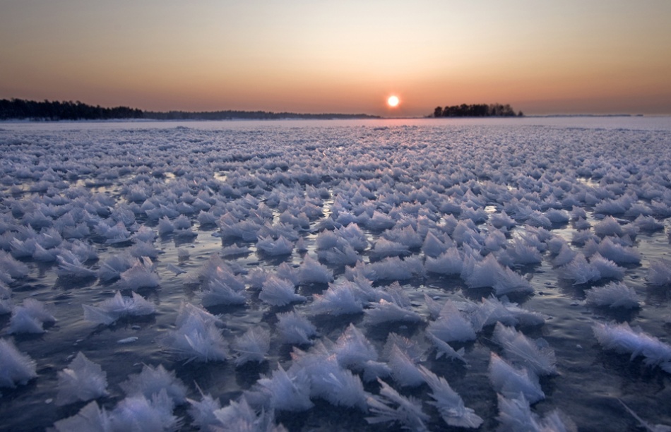 Frozen Sea von Sten Wiklund