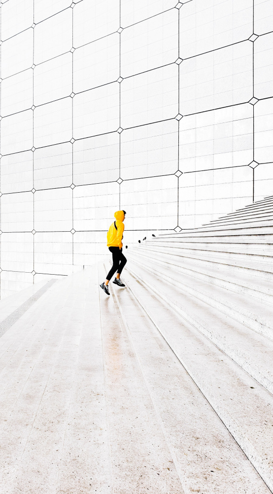 Yellow jacket on run. von Stephane Navailles