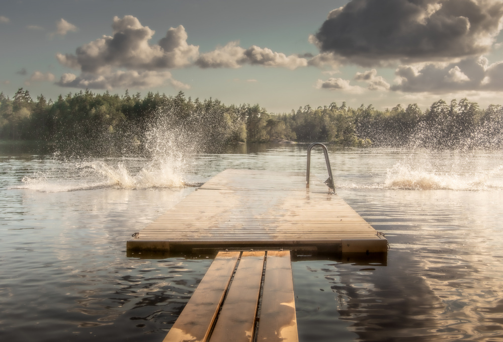 The diving board von Stephanie Kleimann