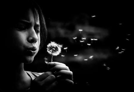 Dandelion in the air