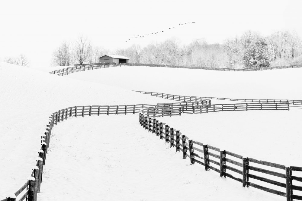 The First Snow von Steven Zhou