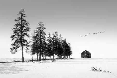 A Sunny Winter Day