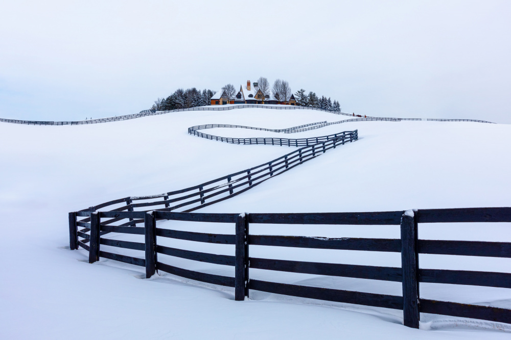 Peaceful von Steven Zhou