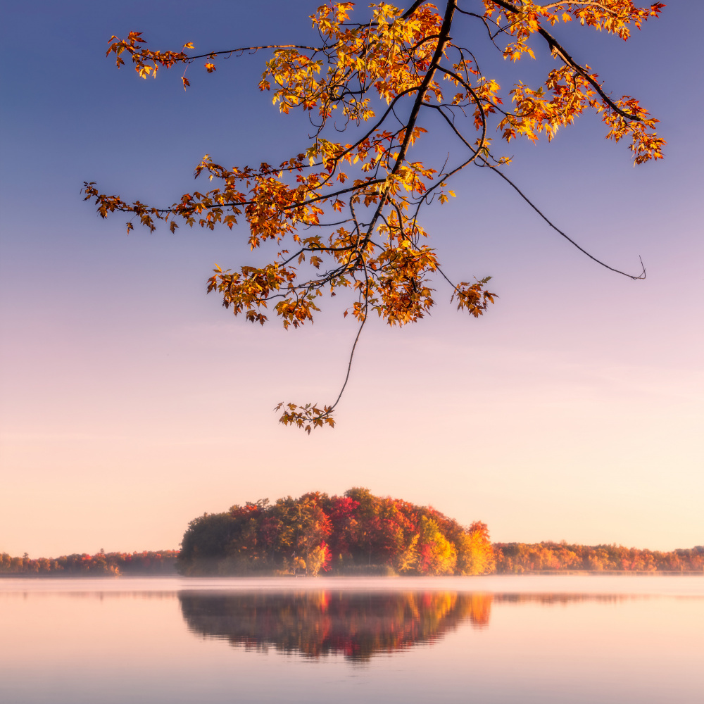 Autumn Leaves von Steven Zhou