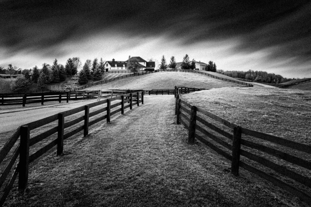 Horse Farm at Dusk #2 von Steven Zhou