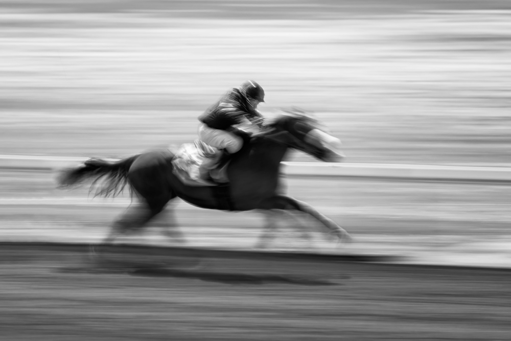 Horse Racing 5 von Steven Zhou