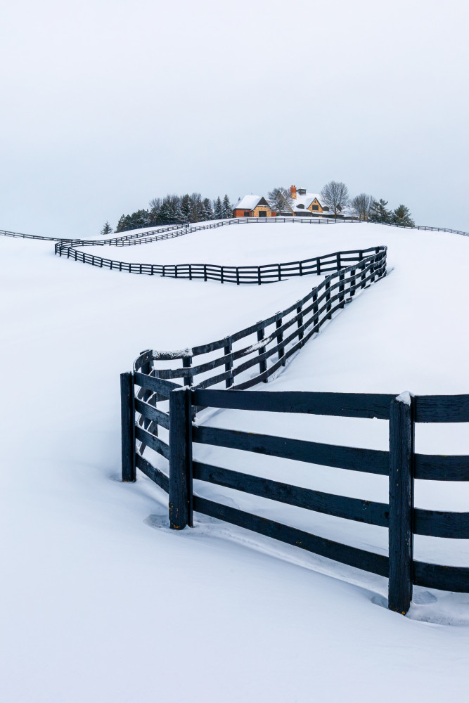 Winter Wonderland von Steven Zhou