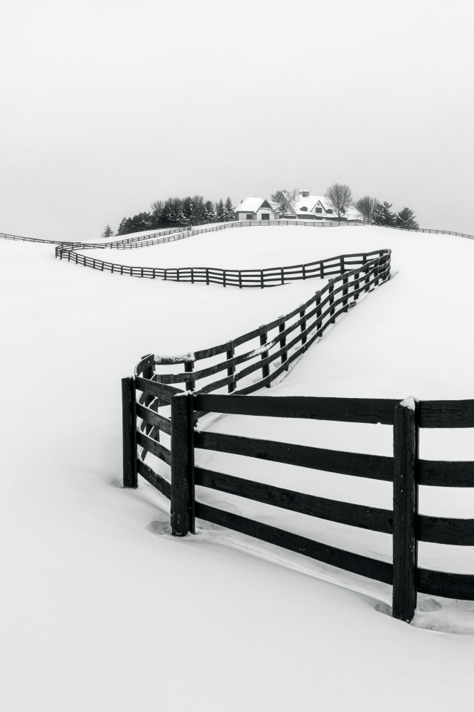 Winter Wonderland von Steven Zhou