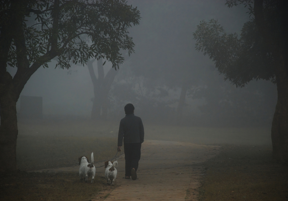 Morning Walk von Subhash Sapru