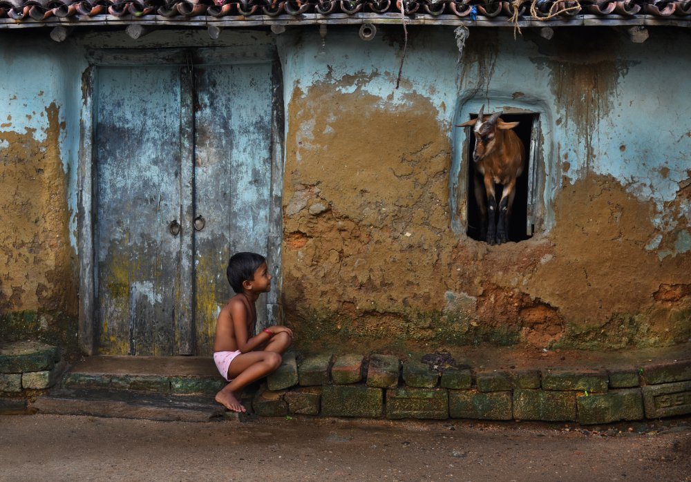 Child &amp; Goat von Sudipta Chatterjee