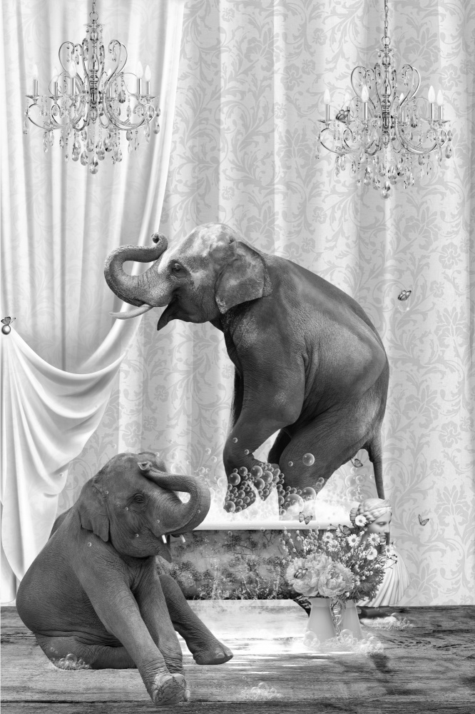 Elephants &amp; Bubbles Black &amp; White von Sue Skellern