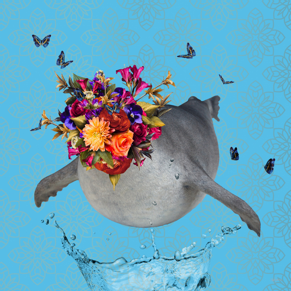 Spring Flower Bonnet On Seal von Sue Skellern