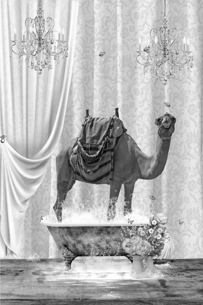 Camel &amp; Bubbles Black &amp; White von Sue Skellern