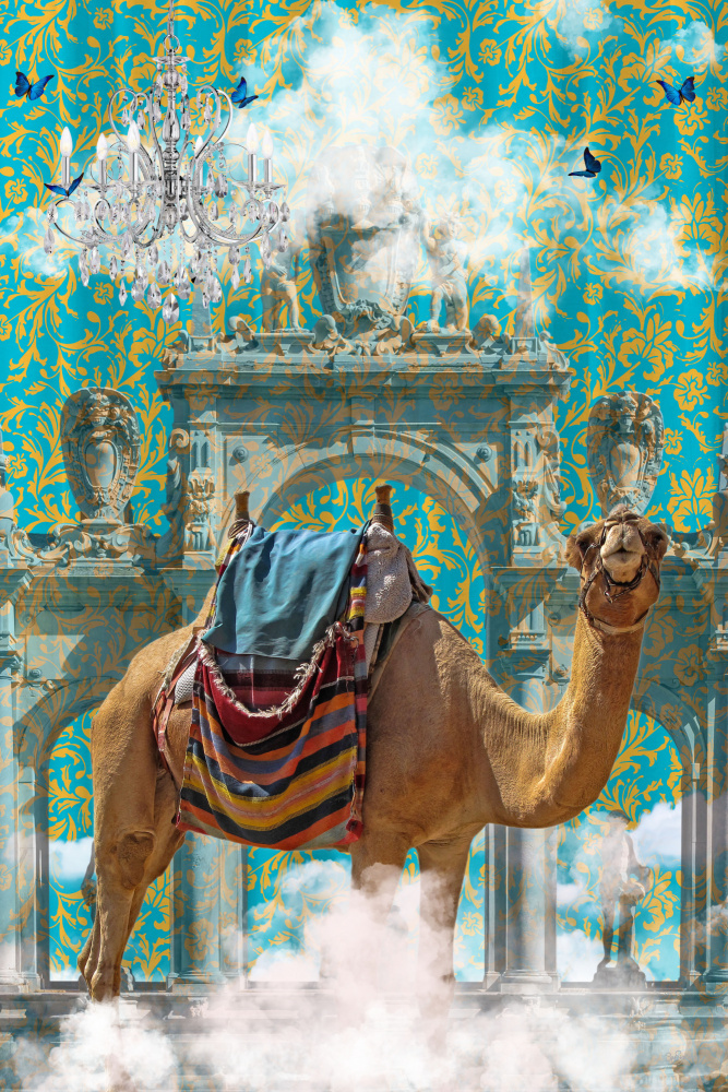 Camel Adventures von Sue Skellern