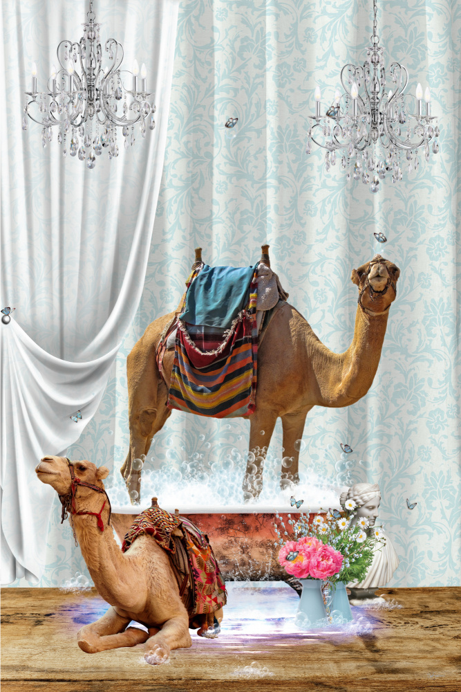 Camels &amp; Bubbles von Sue Skellern