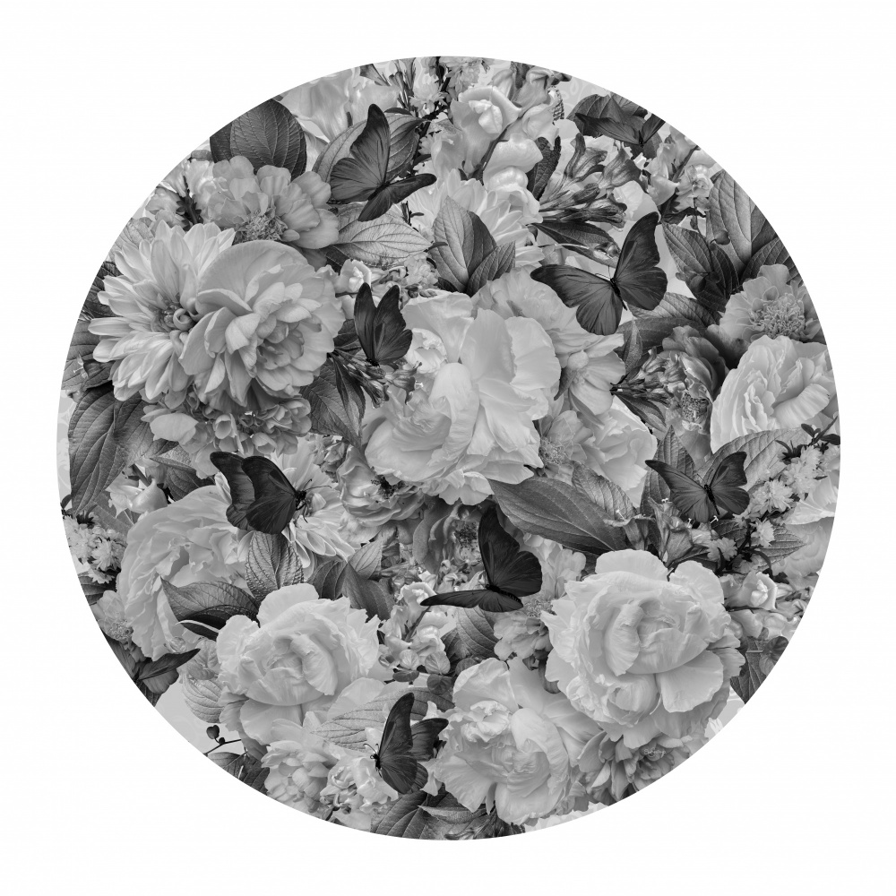 Morning Blooms Black &amp; White von Sue Skellern