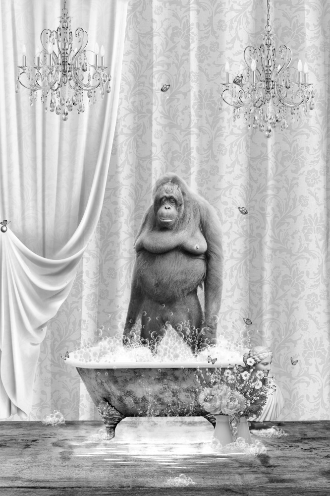 Orangutan &amp; Bubbles Black &amp; White von Sue Skellern