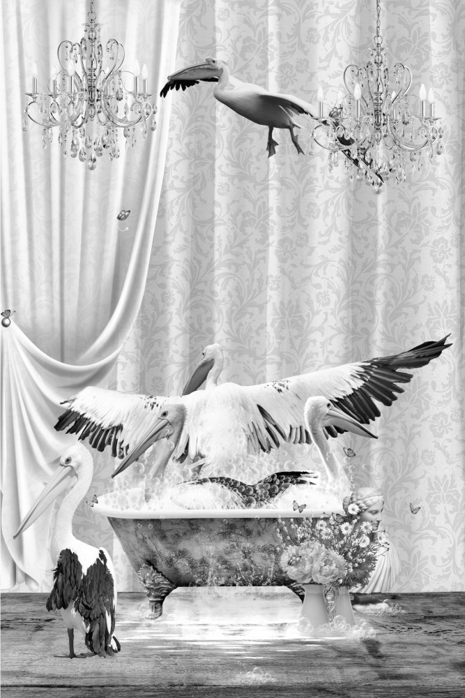 Pelicans &amp; Bubbles Black &amp; White von Sue Skellern