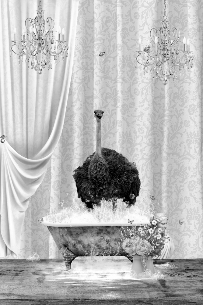 Ostrich &amp; Bubbles Black &amp; White von Sue Skellern