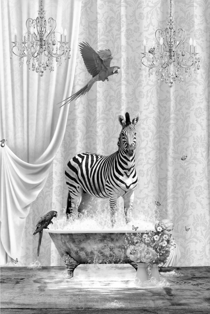 Zebra Parrots &amp; Bubbles Black &amp; White von Sue Skellern