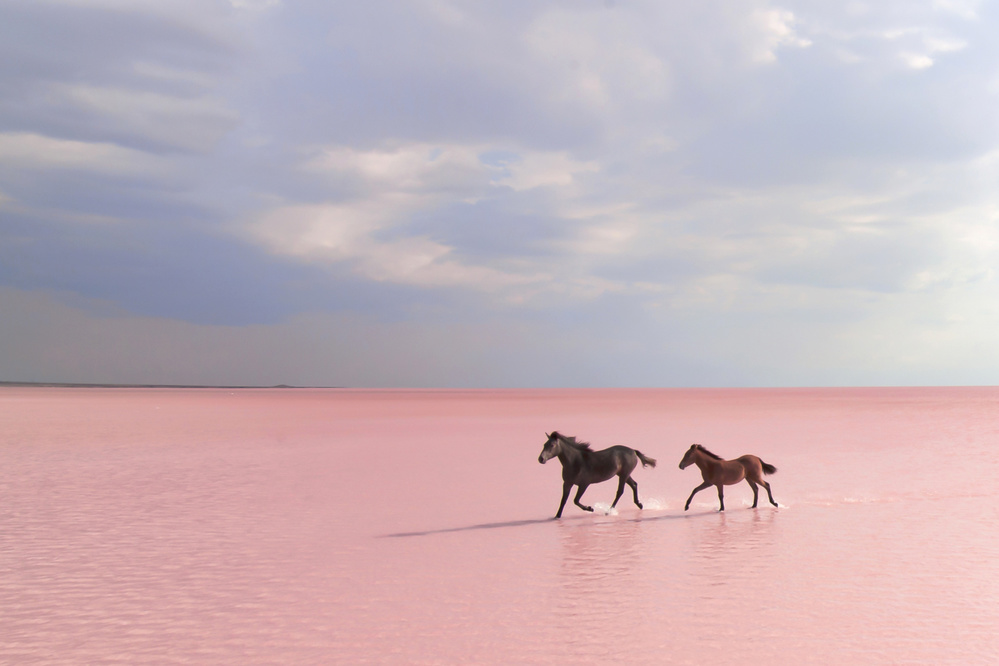 pink salt lake von suleyman uzumcu