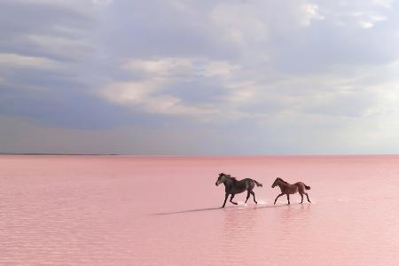 pink salt lake