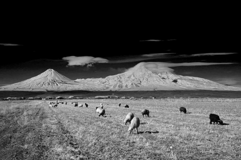 Ararat mountain von Suren Manvelyan