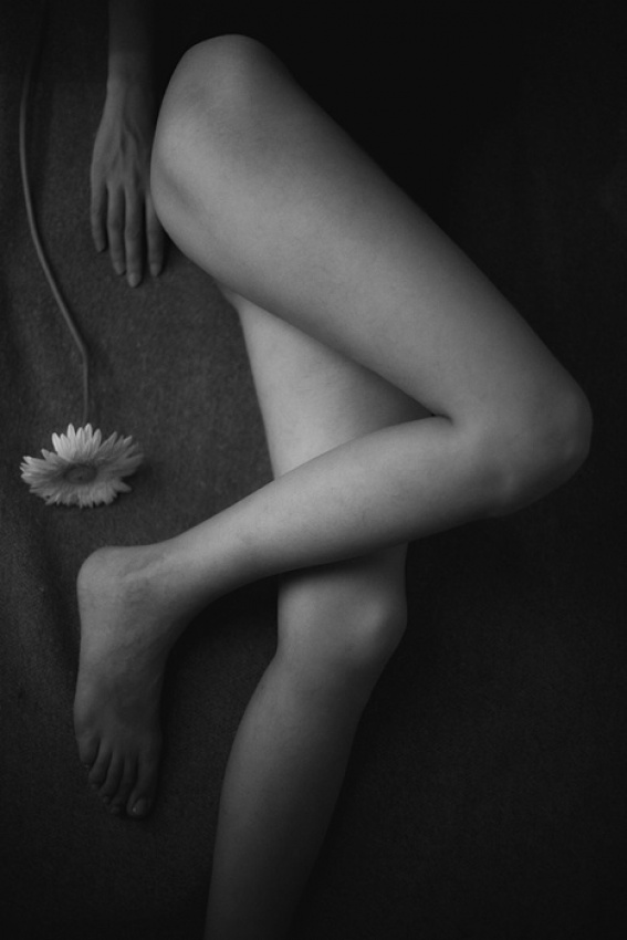 Hand, Legs, and Flower von Suren Manvelyan