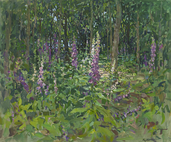 Foxgloves von Susan  Ryder