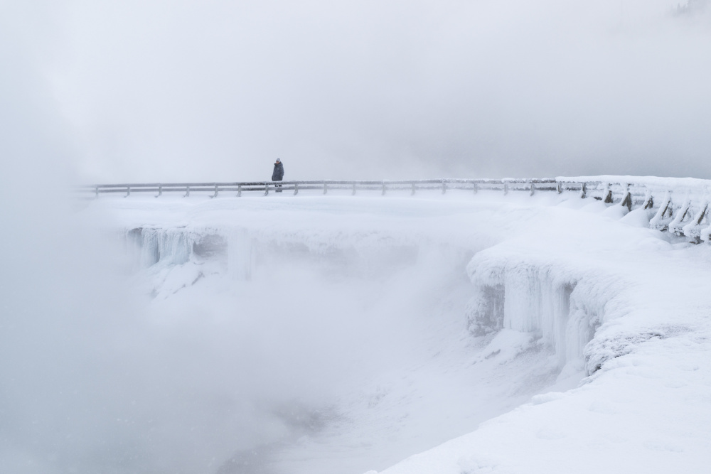 Freezing von Susanne Landolt