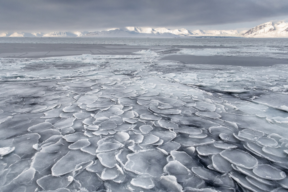 Pancake Ice von Susanne Landolt