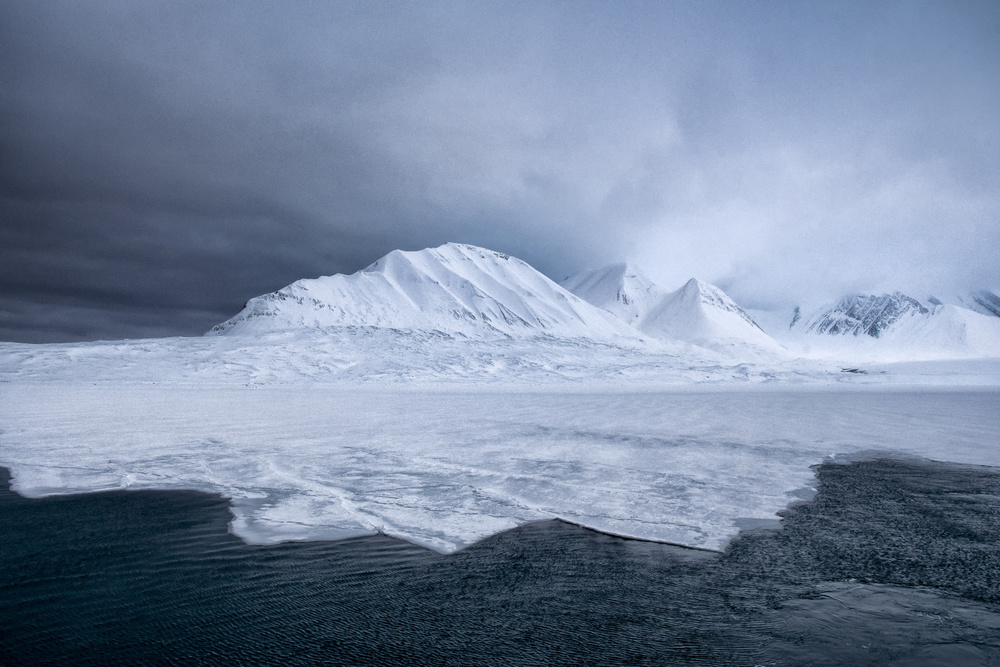 Tracks on ice... von Susanne Landolt