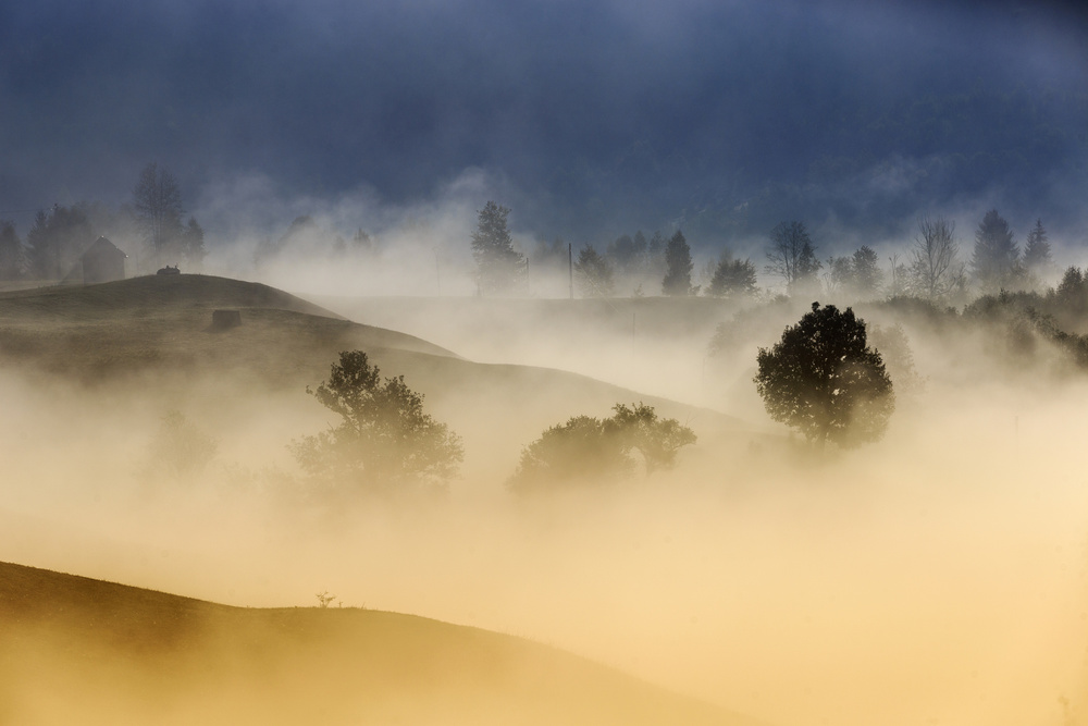 A beautiful morning von Sveduneac Dorin Lucian