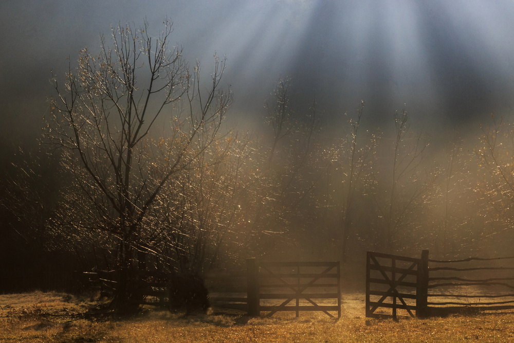 Heavens door von Sveduneac Dorin Lucian