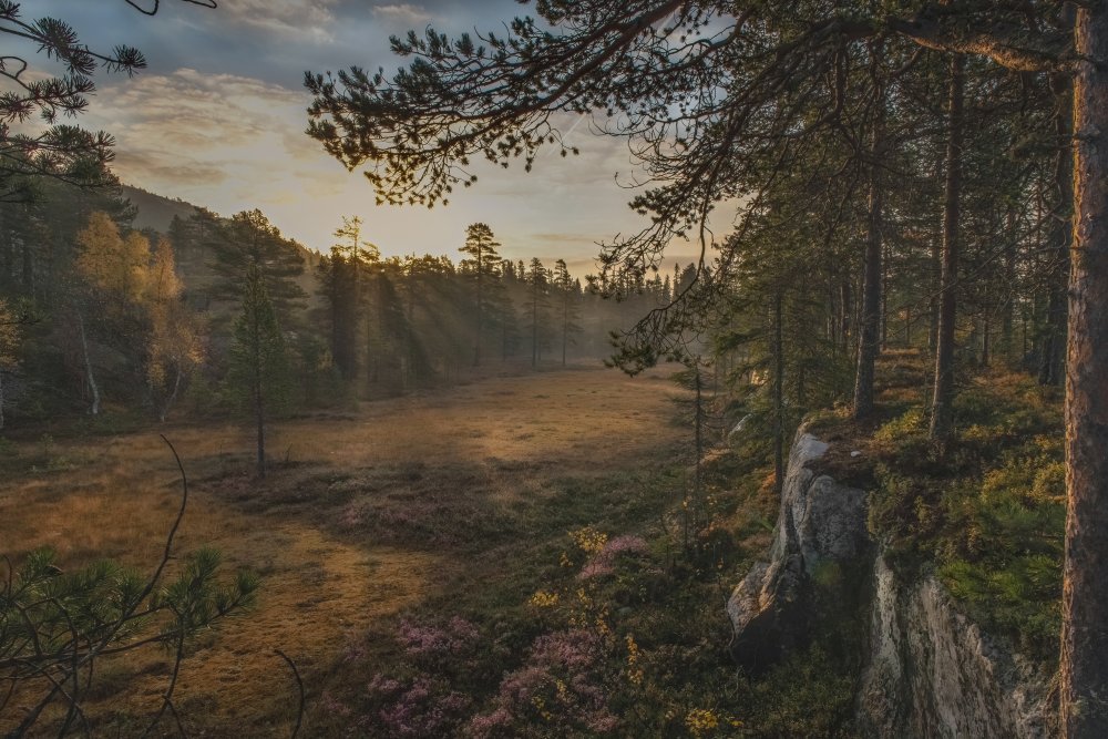 Autumn Mood von Sven Olav Vahlenkamp