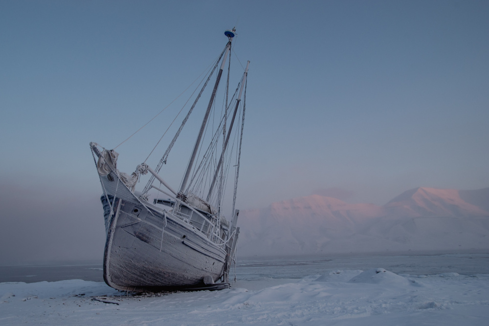 Cold von Sverre Olav Sebjørnsen