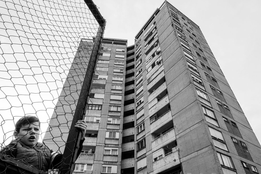 The boy behind the fence von Svetislav Cvetkovic