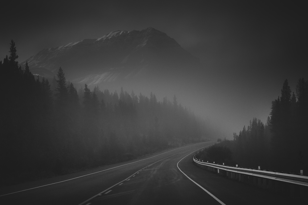 Driving in fog von Svetlana Popova