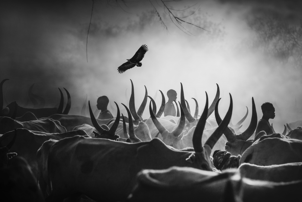 The shadows of Mundari von Svetlin Yosifov