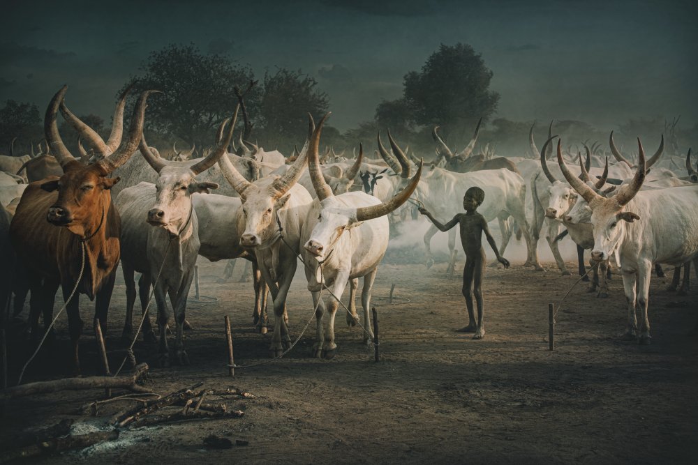 Mundari cattle camp-Child von Svetlin Yosifov