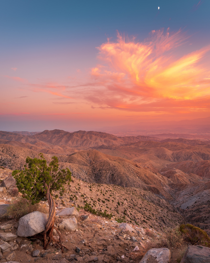 Desert Sunset von Syed Iqbal