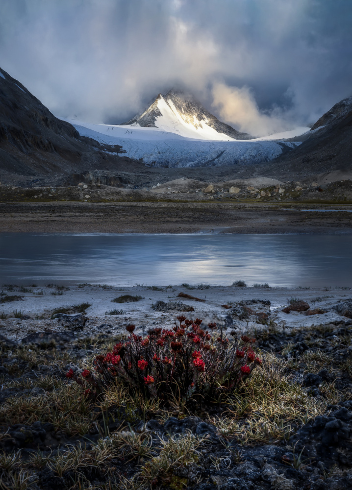 Snow Peak and Summer Blossom von Sylviashen