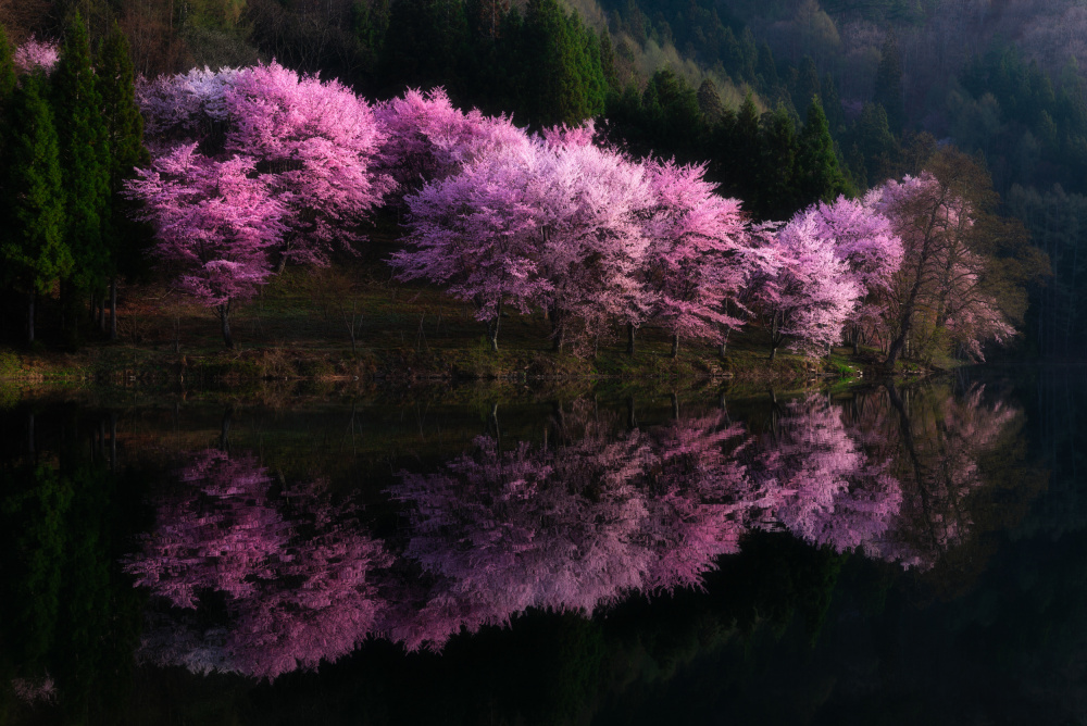 Reflection von Syunsuke Narita