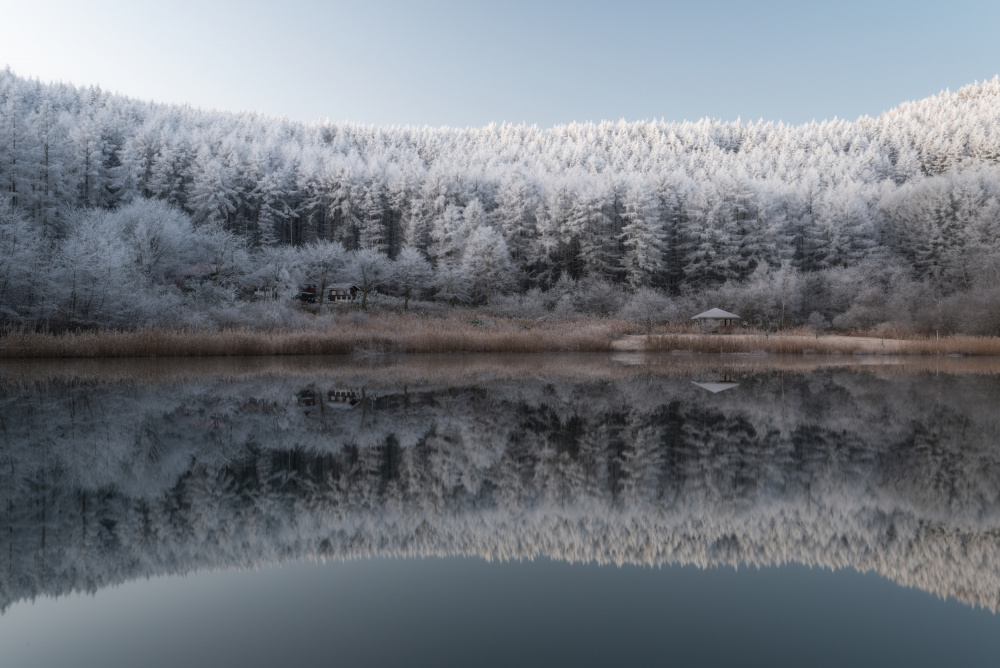 silent morning von Syunsuke Narita