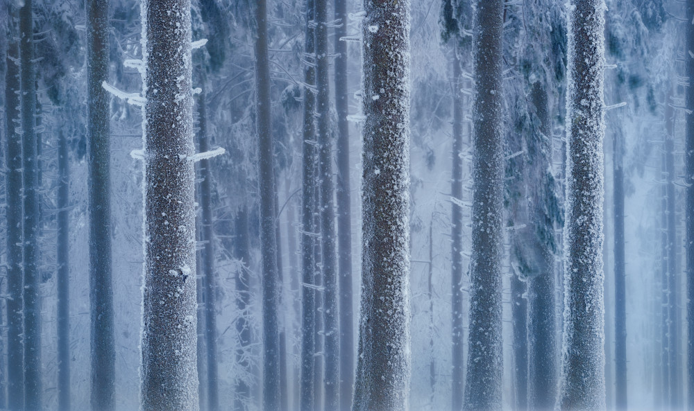 White walk von Szabo Zsolt Andras