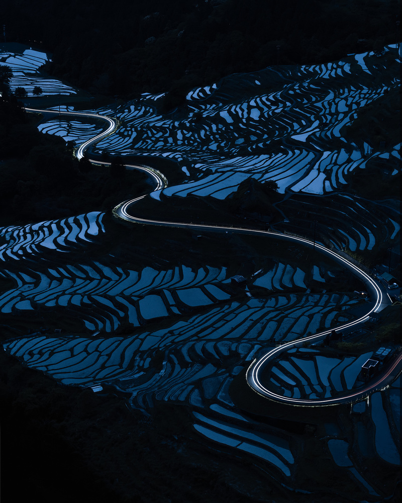 Blue paddy field von Taisuke Goto