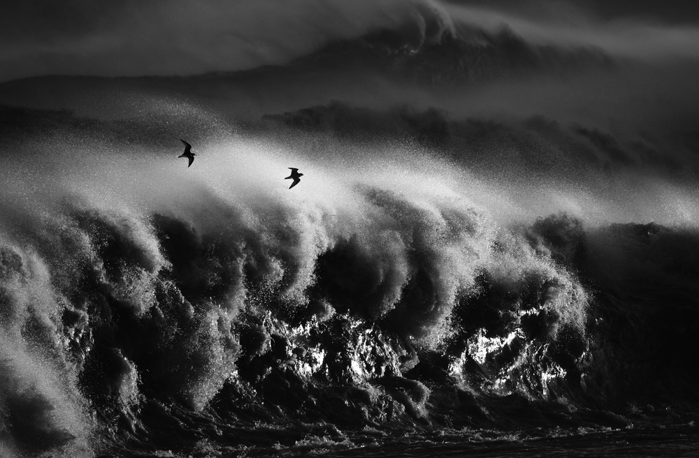 Fly in a storm von Takafumi Yamashita