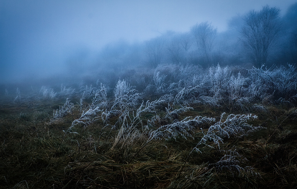 Frosty day von Takafumi Yamashita