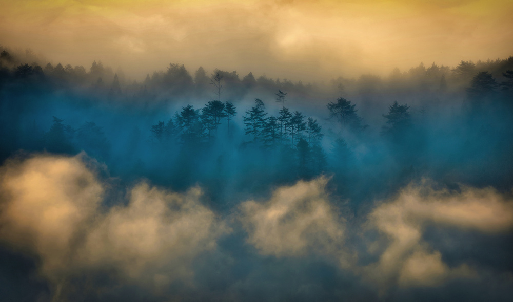 Foggy morning von Takafumi Yamashita