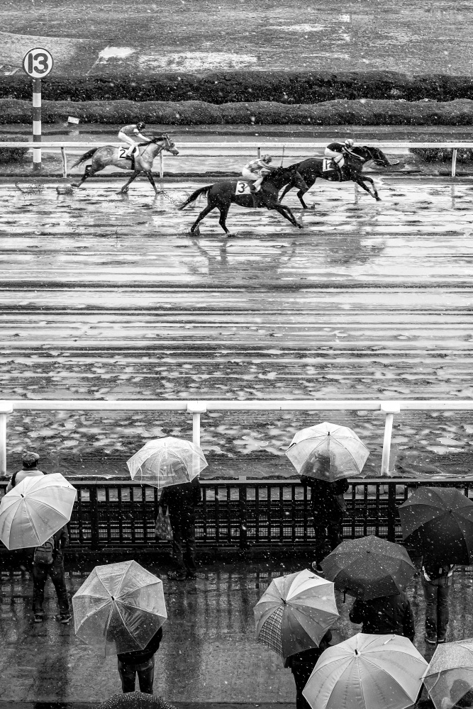 Urawa Horse racing (2018) von Takashi Hasegawa